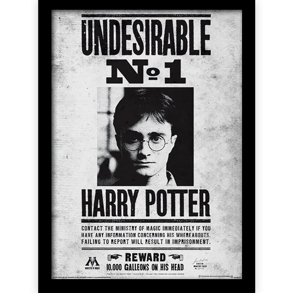 HARRY POTTER - Undesirable No1